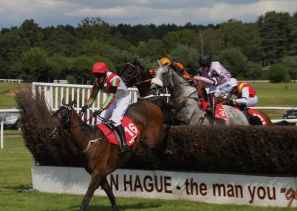 Grey horse Alcala came through to win the big race, the Â£50,000 Summer Plate Chase EMN-170724-155042002