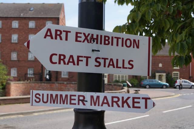 Market Rasen Open Gardens and Summer Fair 2015 EMN-170729-225112001