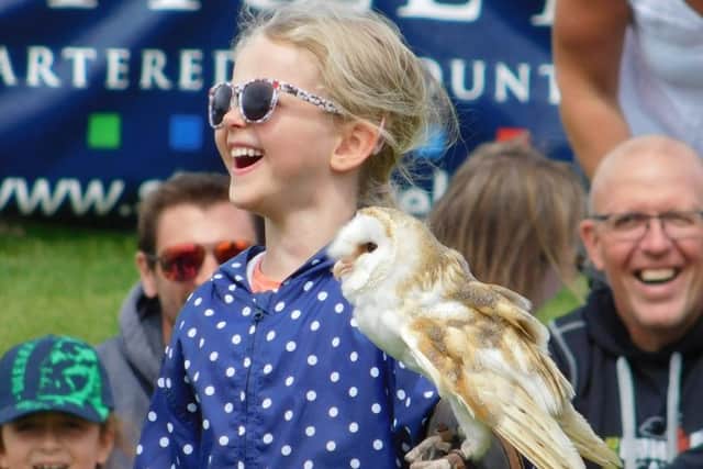 A real hoot at the Old Redtail Falconry Display in the main ring at the Heckington Show. EMN-170730-084814001