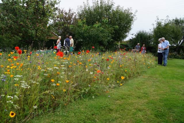 Market Rasen Summer Market and Open gardens EMN-170608-201850001