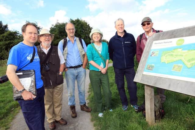 Mareham Pastures Bioblitz with experts from Lincolnshire Naturalists Union, Friends of Mareham Pastures and LCC wildlife recording session looking for plants, insects, birds and mammals.