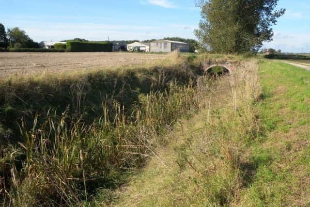 Matt Mountain fears wildlife in the Great Hale Eau could be affected by the route of the Viking Link. EMN-170308-163007001