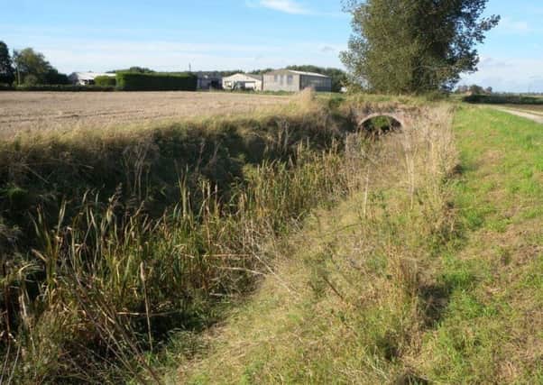 Matt Mountain fears wildlife in the Great Hale Eau could be affected by the route of the Viking Link. EMN-170308-163007001