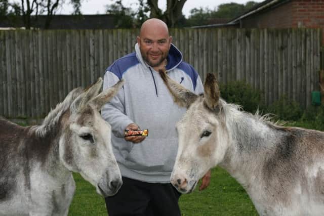 Rescued donkeys Smokey and Twiglet are tempted with a Mars bar by sanctuary volunteer Ross Clarke.
