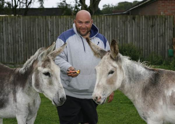 Rescued donkeys Smokey and Twiglet are tempted with a Mars bar by sanctuary volunteer Ross Clarke.