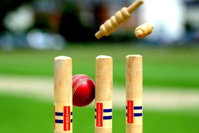 Cricket