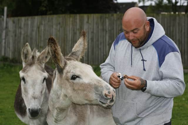 Volunteer Ross Clarke gives the donkeys a Mars bar treat