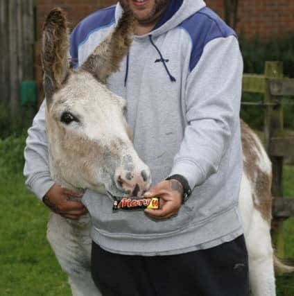 Volunteer Ross Clarke with Twiglet - so named because of how thin he was when he was rescued.