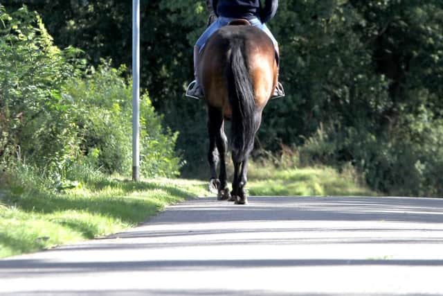 Horse and rider