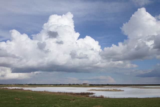 RSPB Frampton Marsh. EMN-170823-092440001