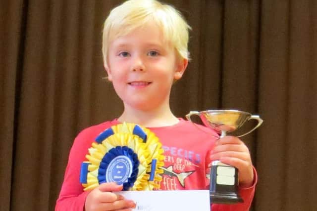 Pictured is Joseph Dodd, five, who won Best in Class jointly with Chloe Dodd (not pictured) for their Lego models. EMN-170809-130832001