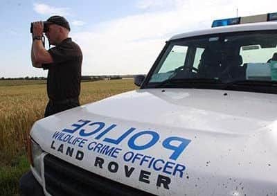Wildlife crime officer (stock image).