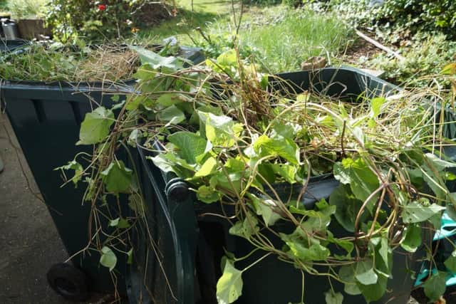 West Lindsey is the last Lincolnshire authority to offer a free green waste service EMN-170918-084540001