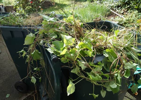West Lindsey is the last Lincolnshire authority to offer a free green waste service EMN-170918-084540001