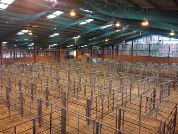 Louth Cattle Market.