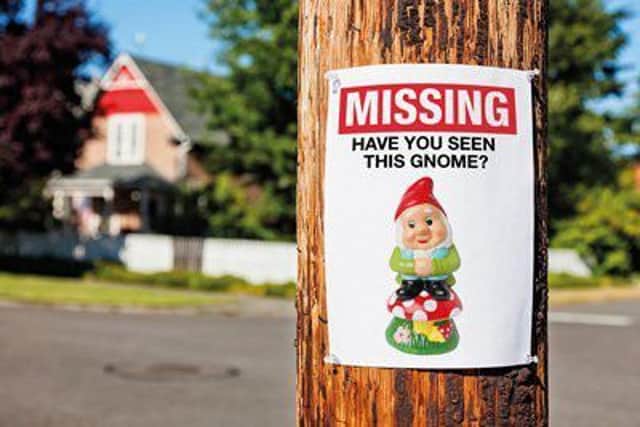 A garden gnome has been stolen from a garden in Skegness. ANL-170920-173446001