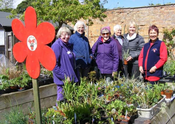 Members of Sleaford in Bloom committee and visitors to their open garden event earlier this year. EMN-170925-171203001