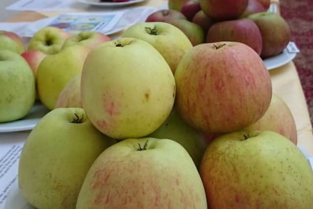 Core! Gunby Hall's apple day is back. Picture: National Trust