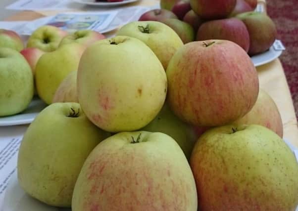 Core! Gunby Hall's apple day is back. Picture: National Trust