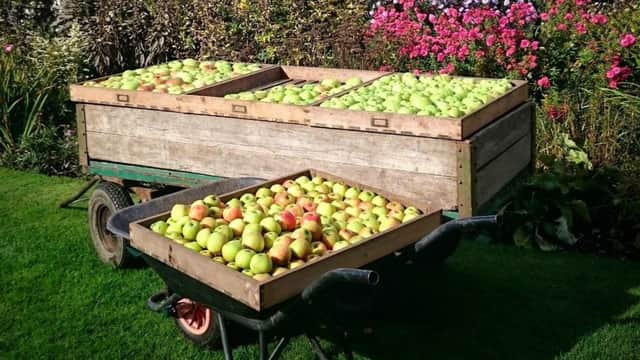 Apple day carts