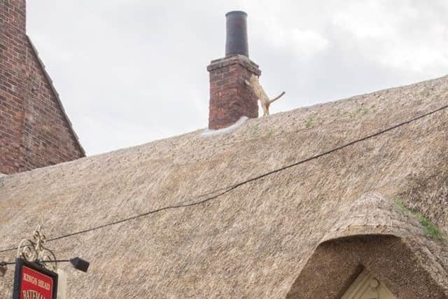 The cat finial on the thatch roof at the Kings Head.