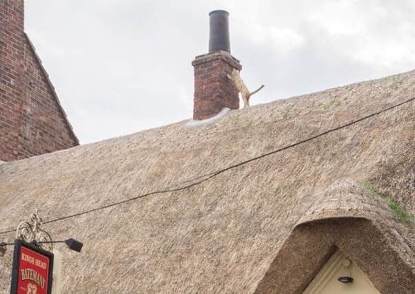 The cat finial on the thatch roof at the Kings Head.