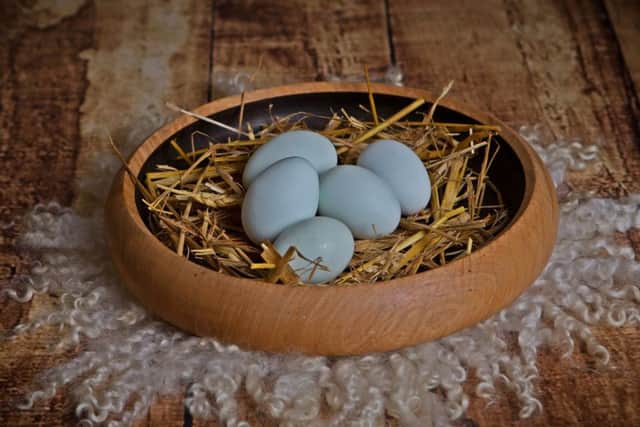 The British Blue Eggs