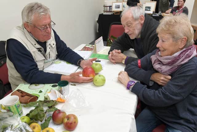 Fruit growing consultant and horticultural speaker Trevor Rogers, left, indentifying the variety of apple for Sylvia and Maurice Bradbury of Old Bolingbroke.
