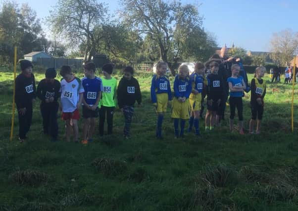 Runners line up ahead of the cross-country challenge