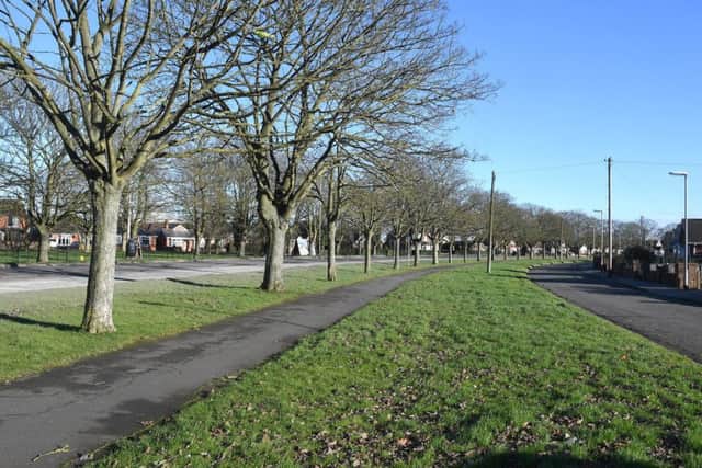 Skegness Town Council are considering employing more staff to cut the grass. ANL-171020-161249001