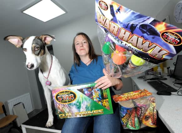 Julie Brewer with her dog Twiggy and fireworks.