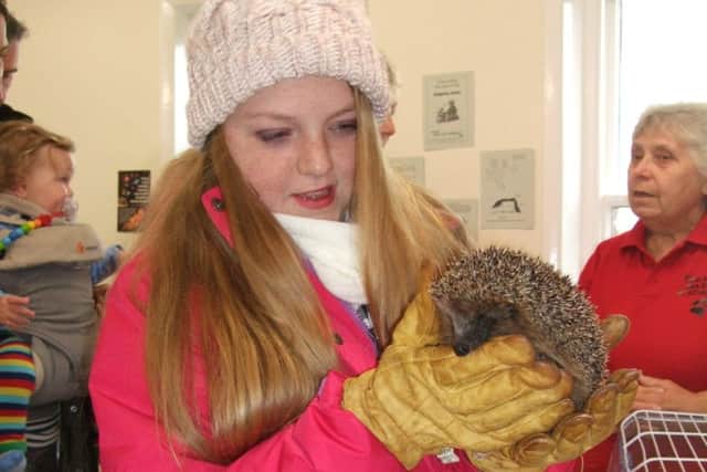 A young visitor to the Hedgehog Day at Gibraltar Point National Nature Reserve.