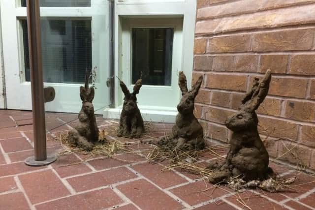 A foursome of hares on teh doorstep at NKDC offices. EMN-170711-122240001