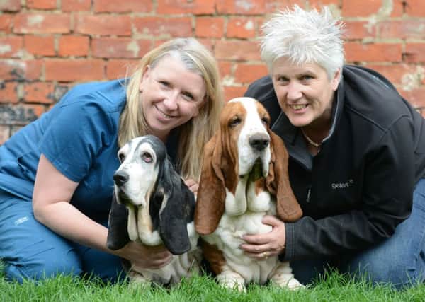 Eatfield Head Veterinary Nurse Alison Young with Bubbles and owner Debbie Ellrich with James.